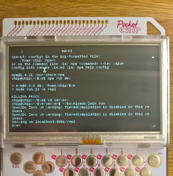 EvePocketChip